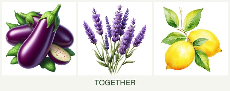 Can you plant eggplant, lavender and lemons together?