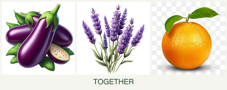 Can you plant eggplant, lavender and oranges together?
