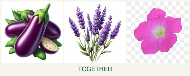 Can you plant eggplant, lavender and petunias together?