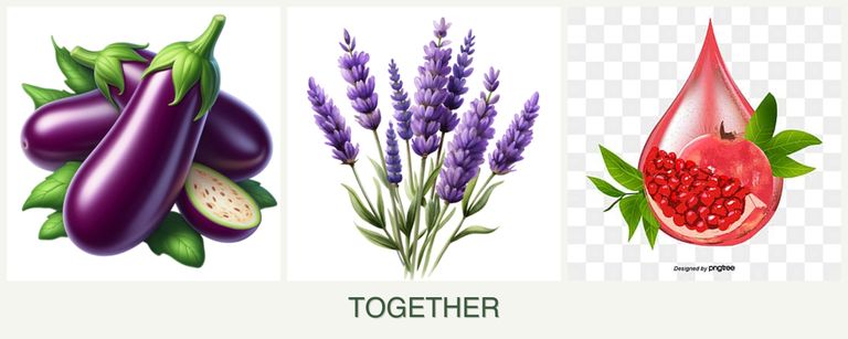 Can you plant eggplant, lavender and pomegranates together?
