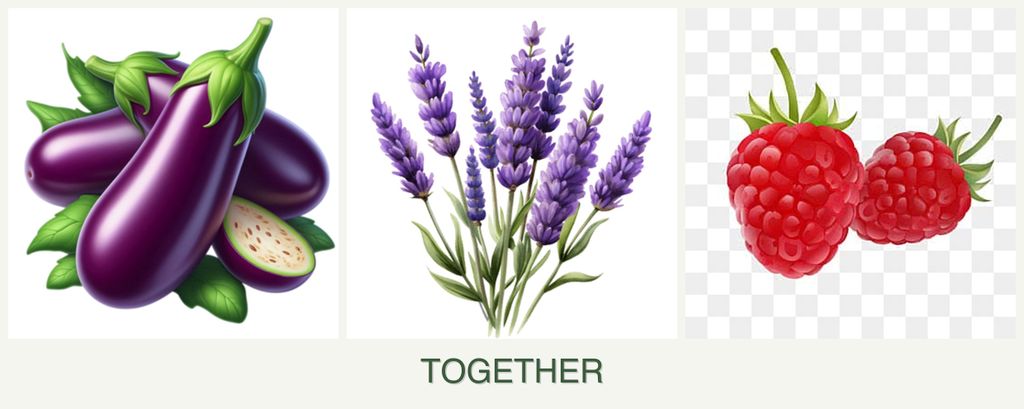 Can you plant eggplant, lavender and raspberries together?