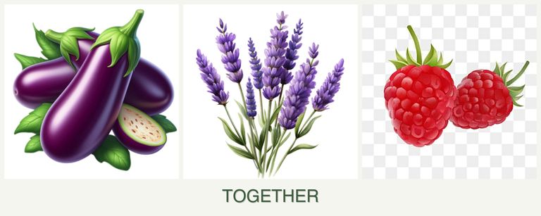Can you plant eggplant, lavender and raspberries together?