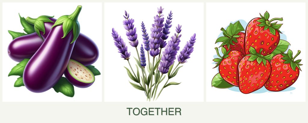 Can you plant eggplant, lavender and strawberries together?