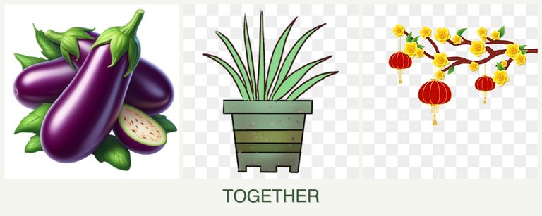 Can you plant eggplant, lemongrass and apricots together?