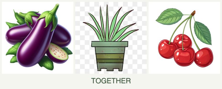 Can you plant eggplant, lemongrass and cherries together?