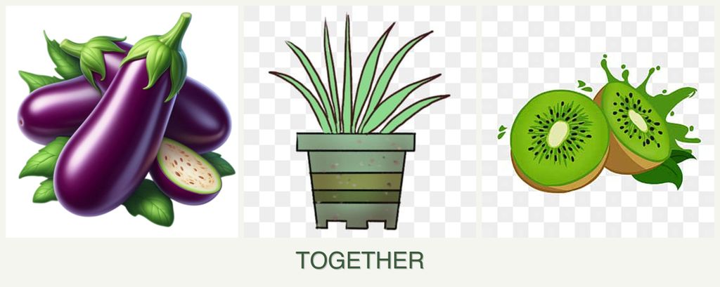 Can you plant eggplant, lemongrass and kiwi together?