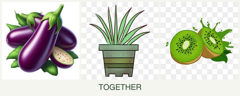Can you plant eggplant, lemongrass and kiwi together?