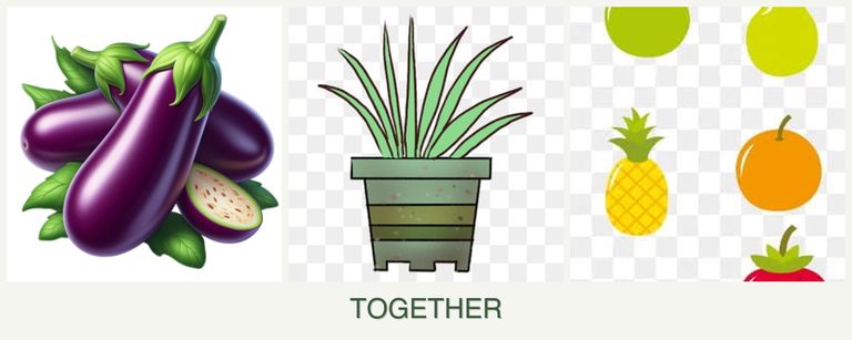 Can you plant eggplant, lemongrass and pears together?