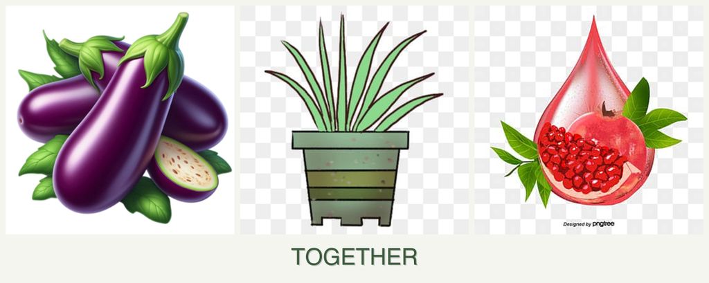 Can you plant eggplant, lemongrass and pomegranates together?