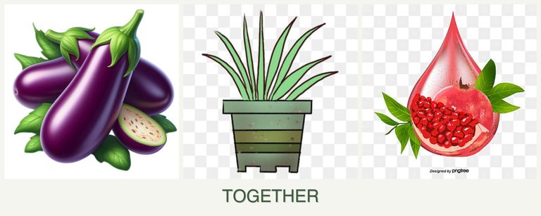 Can you plant eggplant, lemongrass and pomegranates together?