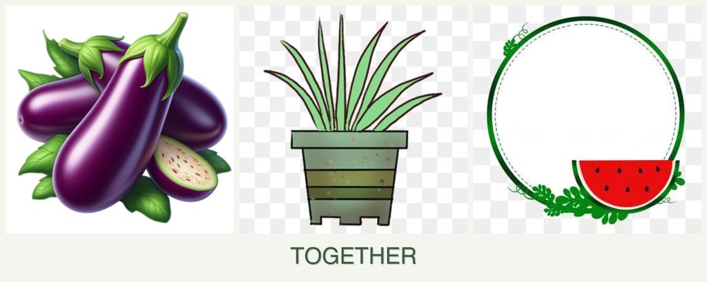 Can you plant eggplant, lemongrass and watermelons together?