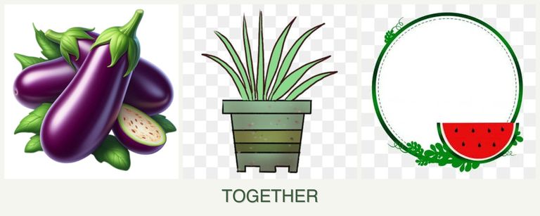 Can you plant eggplant, lemongrass and watermelons together?