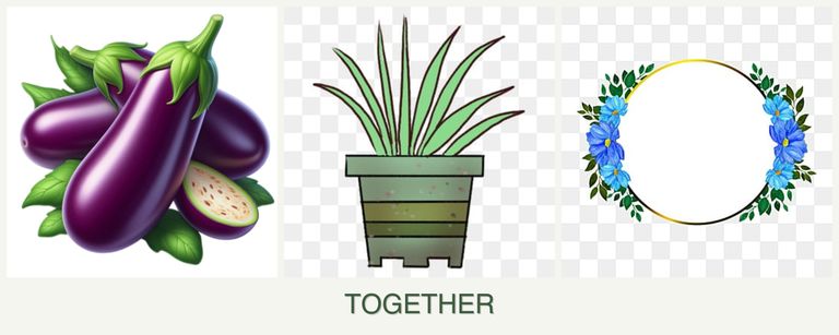 Can you plant eggplant, lemongrass and zinnias together?