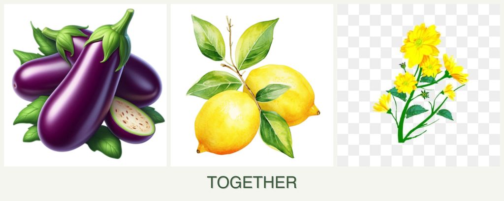 Can you plant eggplant, lemons and calendula together?