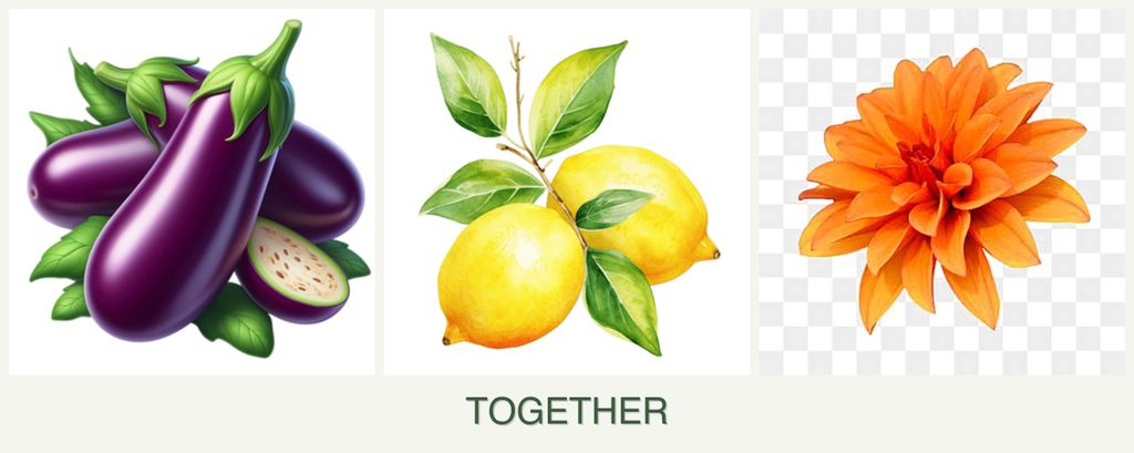 Can you plant eggplant, lemons and dahlias together?