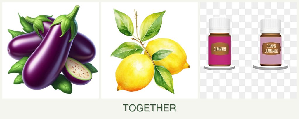 Can you plant eggplant, lemons and geraniums together?