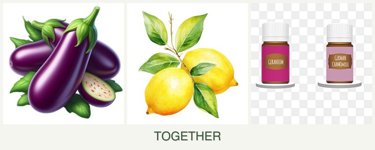 Can you plant eggplant, lemons and geraniums together?