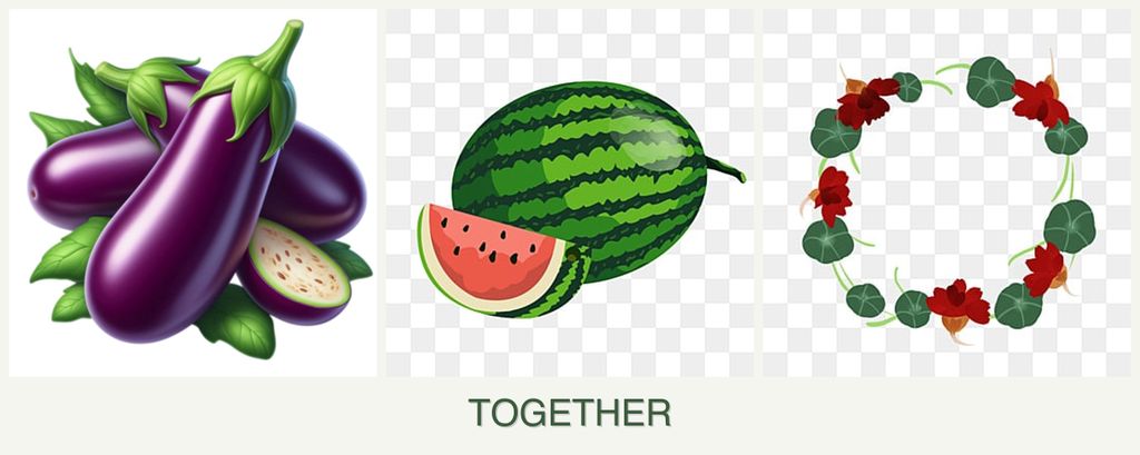 Can you plant eggplant, melons and nasturtiums together?