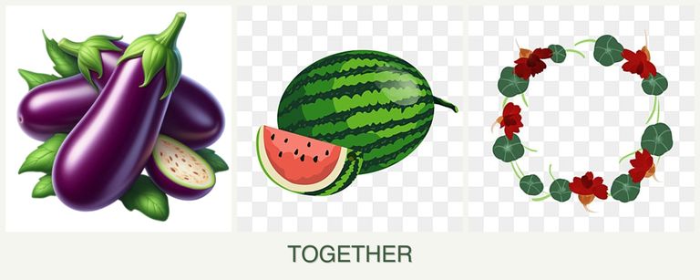 Can you plant eggplant, melons and nasturtiums together?