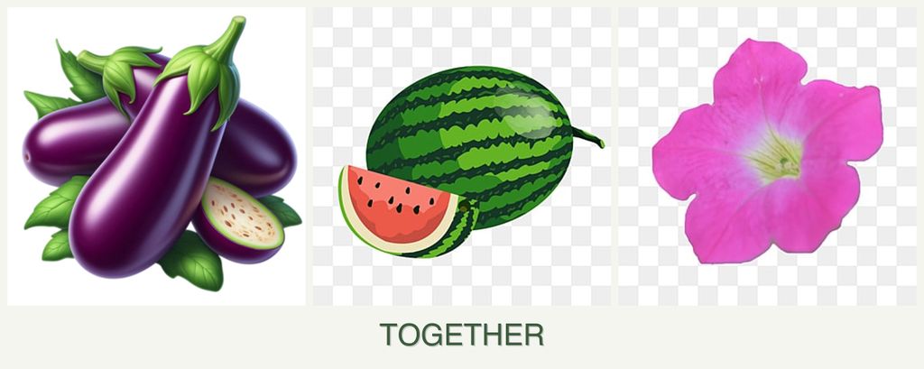 Can you plant eggplant, melons and petunias together?