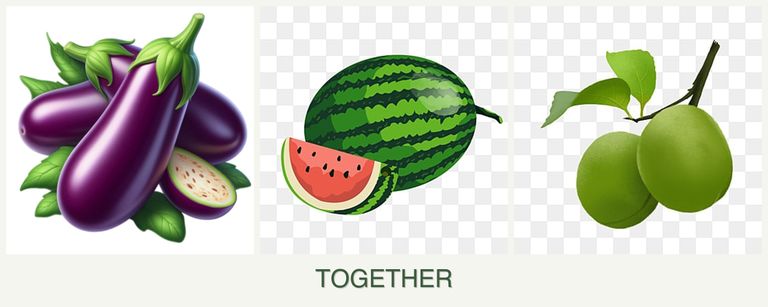 Can you plant eggplant, melons and plums together?