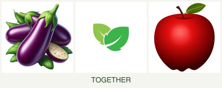 Can you plant eggplant, mint and apples together?