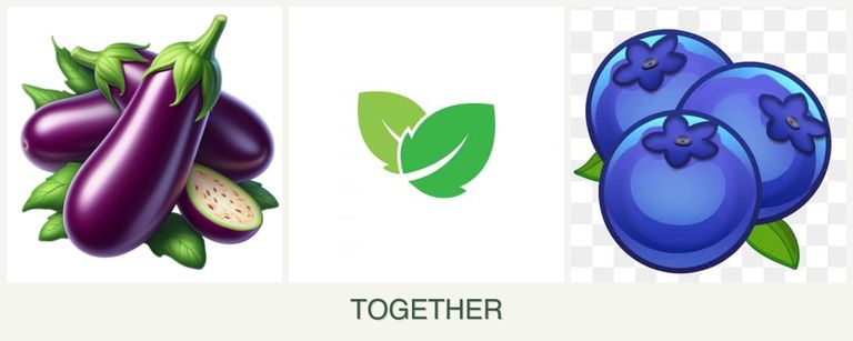 Can you plant eggplant, mint and blueberries together?