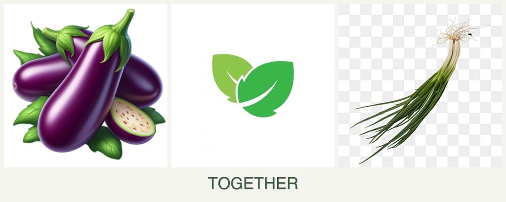 Can you plant eggplant, mint and chives together?