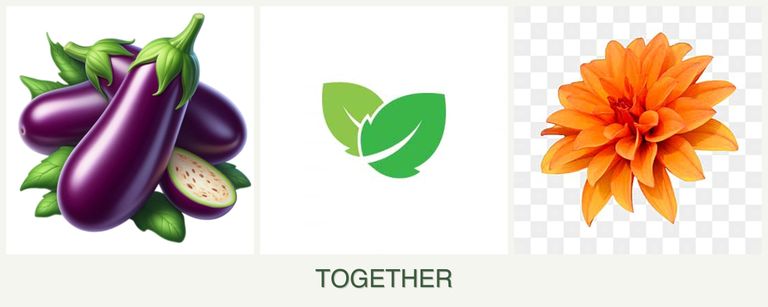 Can you plant eggplant, mint and dahlias together?