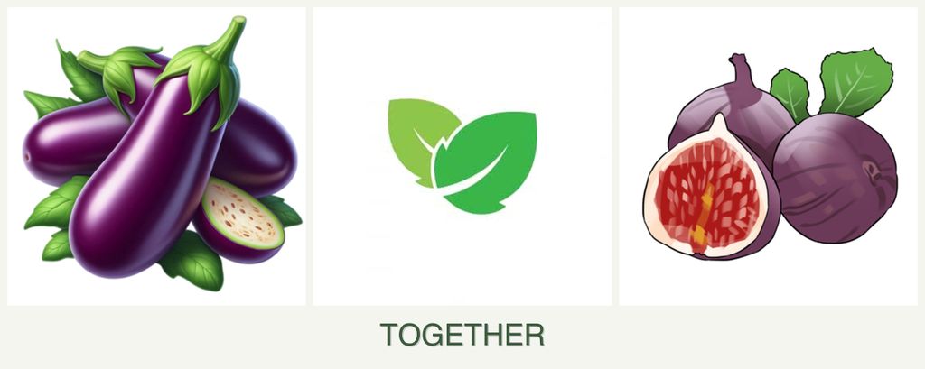 Can you plant eggplant, mint and figs together?
