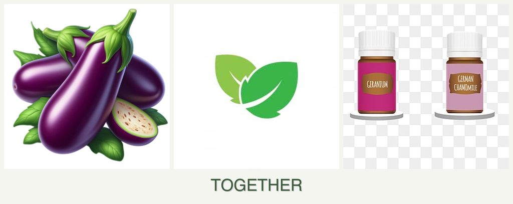 Can you plant eggplant, mint and geraniums together?