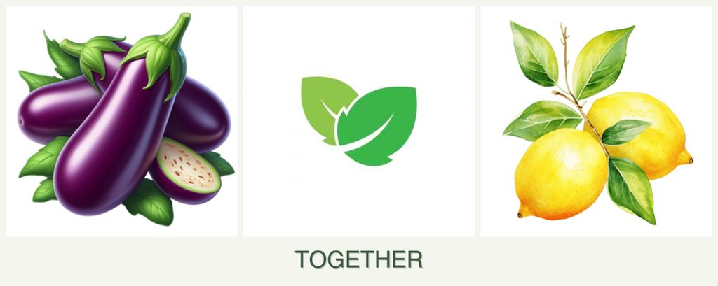 Can you plant eggplant, mint and lemons together?