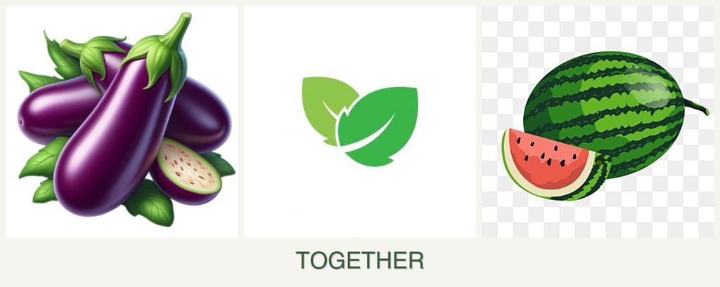 Can you plant eggplant, mint and melons together?