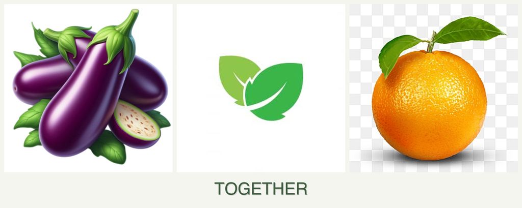 Can you plant eggplant, mint and oranges together?