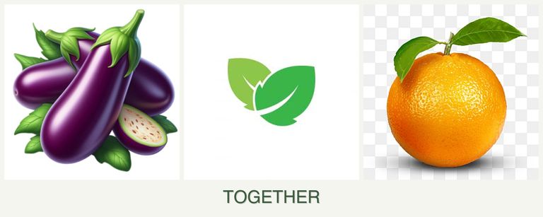 Can you plant eggplant, mint and oranges together?