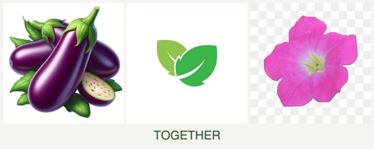 Can you plant eggplant, mint and petunias together?