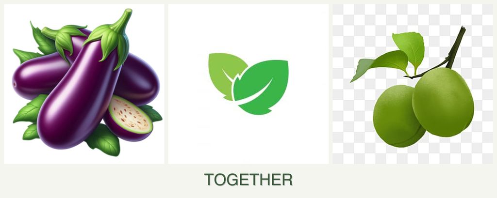 Can you plant eggplant, mint and plums together?