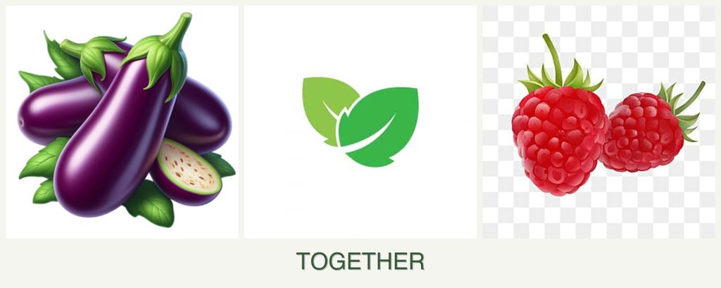 Can you plant eggplant, mint and raspberries together?