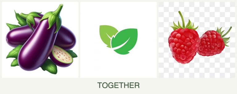 Can you plant eggplant, mint and raspberries together?