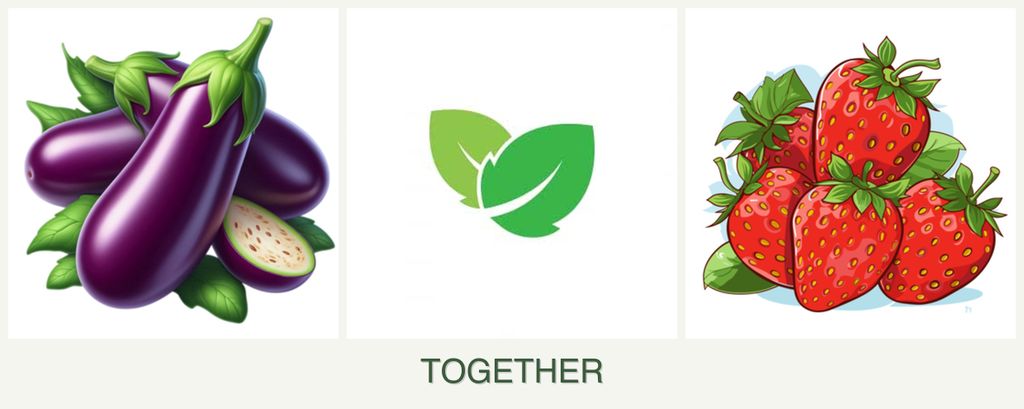 Can you plant eggplant, mint and strawberries together?