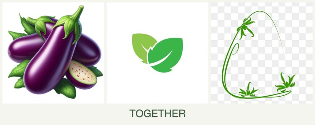 Can you plant eggplant, mint and tarragon together?