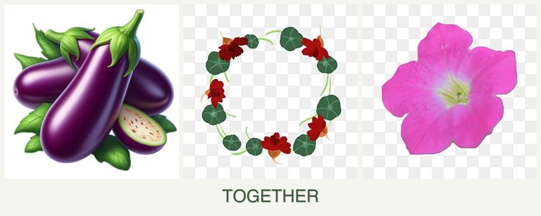 Can you plant eggplant, nasturtiums and petunias together?