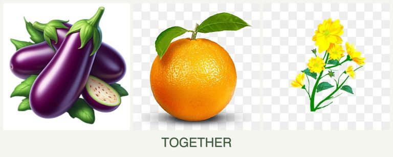 Can you plant eggplant, oranges and calendula together?