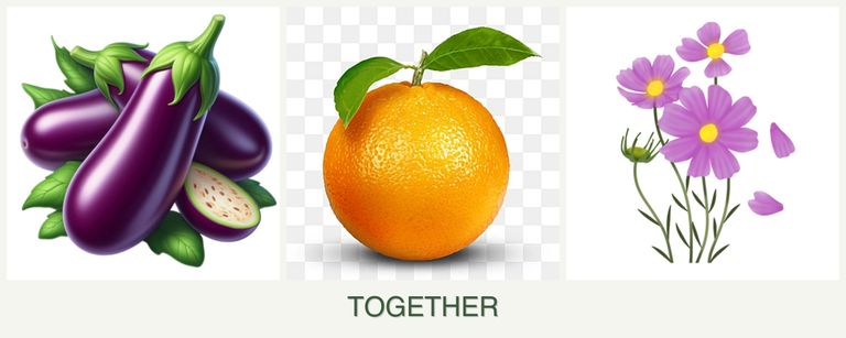 Can you plant eggplant, oranges and cosmos together?