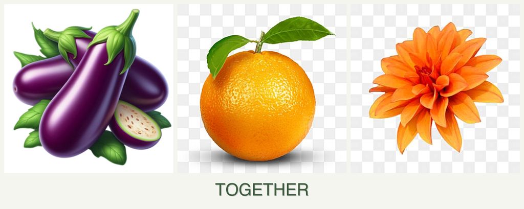 Can you plant eggplant, oranges and dahlias together?