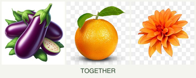 Can you plant eggplant, oranges and dahlias together?