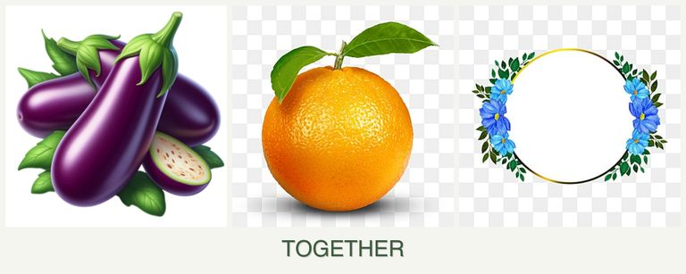 Can you plant eggplant, oranges and zinnias together?