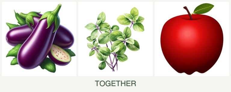 Can you plant eggplant, oregano and apples together?