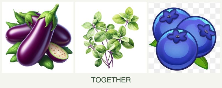 Can you plant eggplant, oregano and blueberries together?