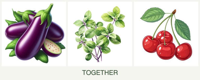 Can you plant eggplant, oregano and cherries together?